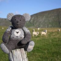 Peerie-Sheep-Yoke-Bear Peerie Sheep Yoke Bear