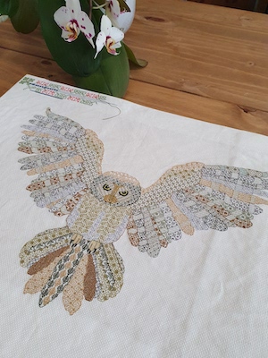 Brown Owl