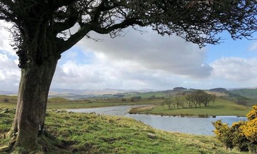 Target Hill Pond near Hawick