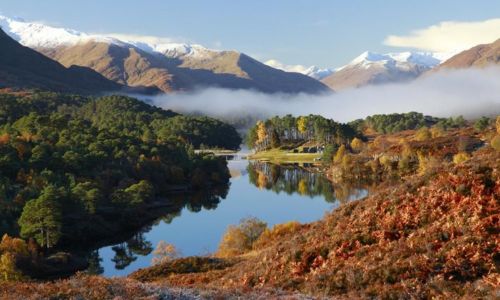 Made in Scotland: Woodland Treasures Glan Affric