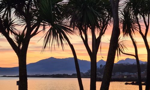 Made in Scotland: Isle Cumbrae Distillers