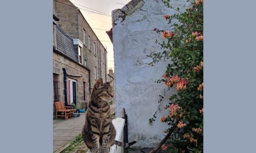 Made in Scotland: Agate & Ayre Blog 24 