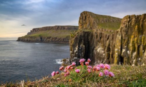Made in Scotland: Scottish Fine Soaps