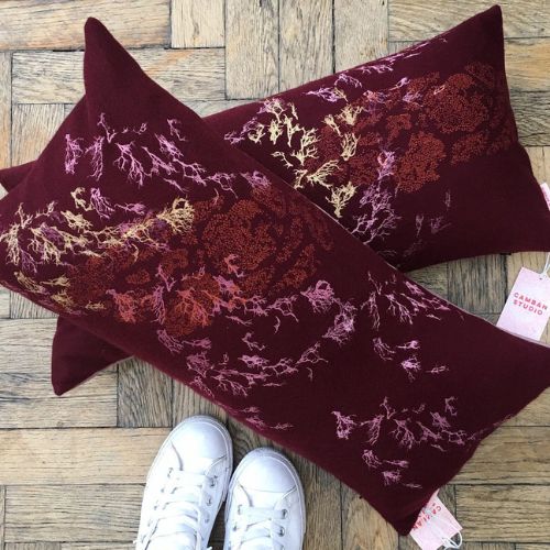 Made in Scotland Camban Studio
