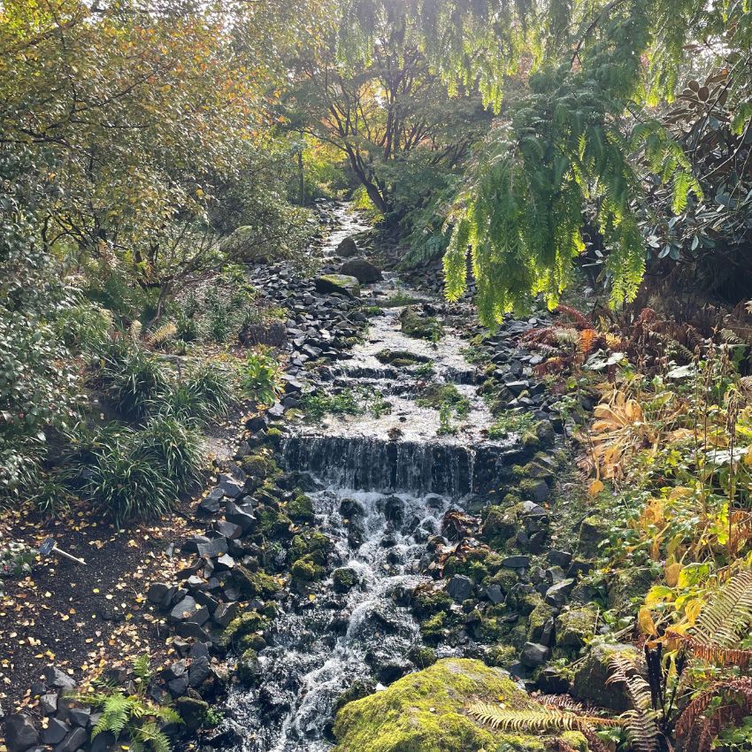 Edinburgh Royal Botanic Garden