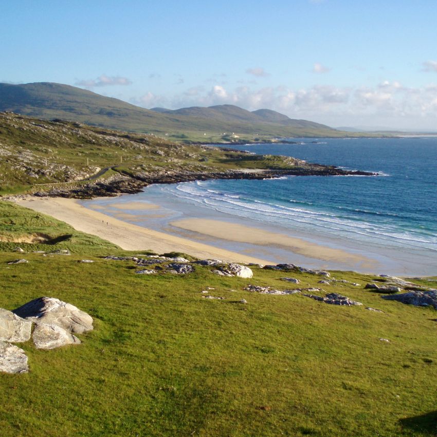 Made in Scotland: Woolkind