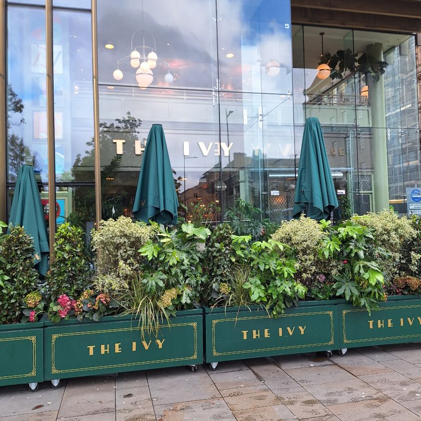 The Ivy on St Andrews Square